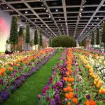 Babylon Garden *** Local Caption *** Babylon Garden