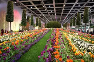Babylon Garden *** Local Caption *** Babylon Garden